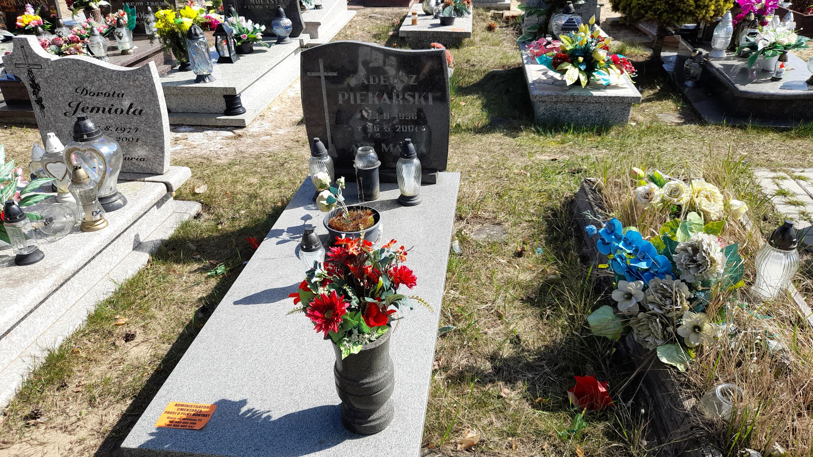 Zdjęcie grobu