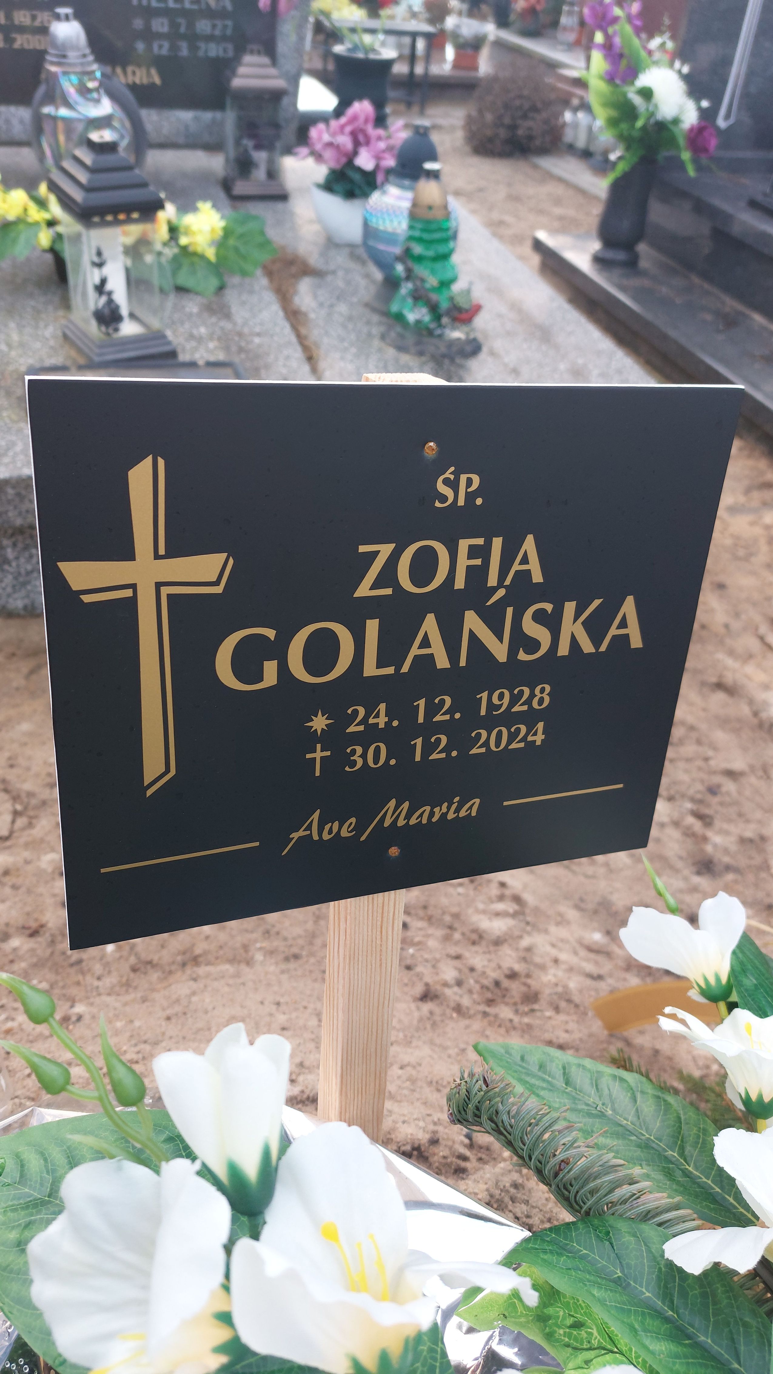 Grób Franciszek Golański