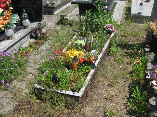 Grób Stanisława Podlewska