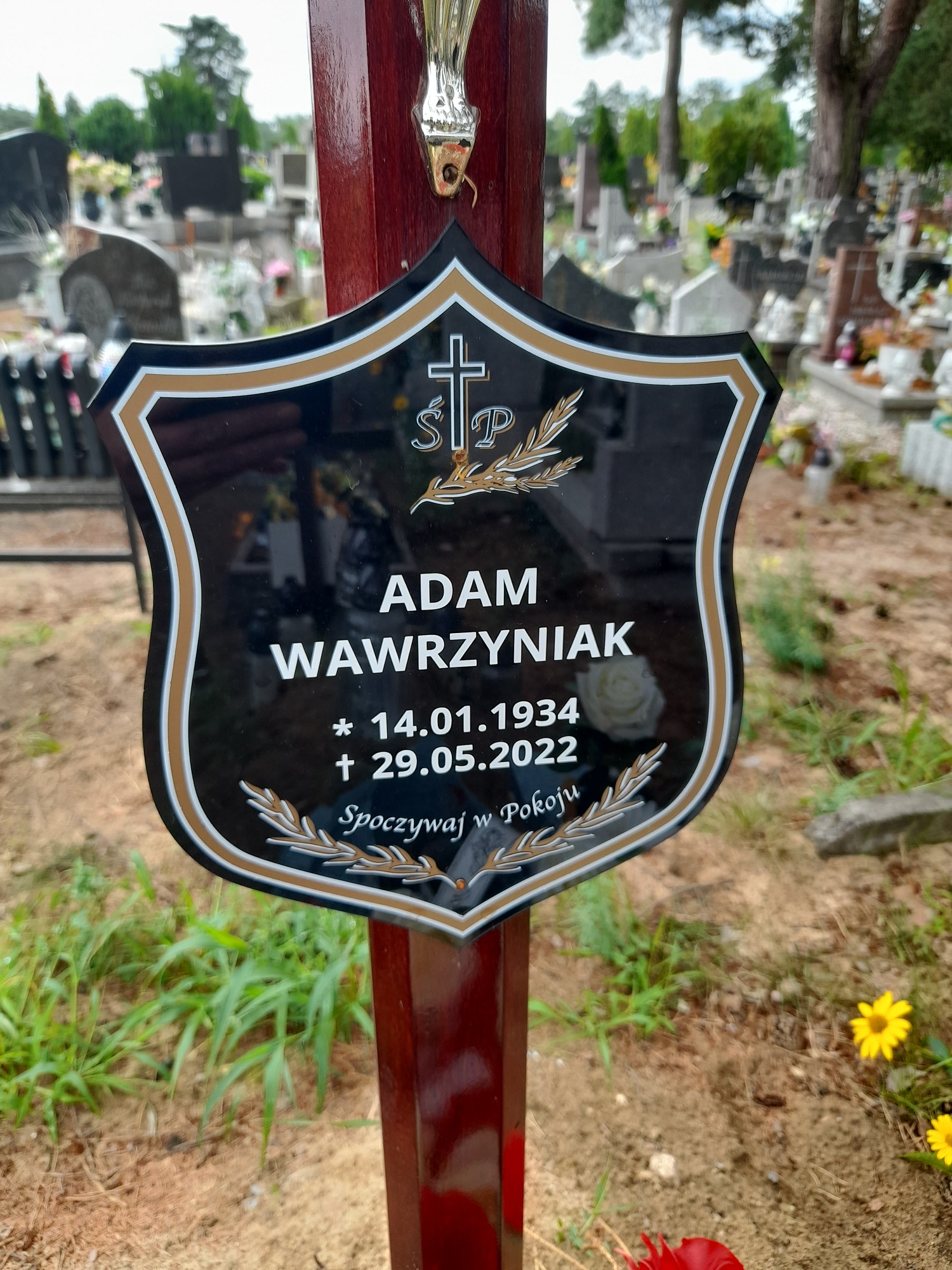 Grób Adam Wawrzyniak