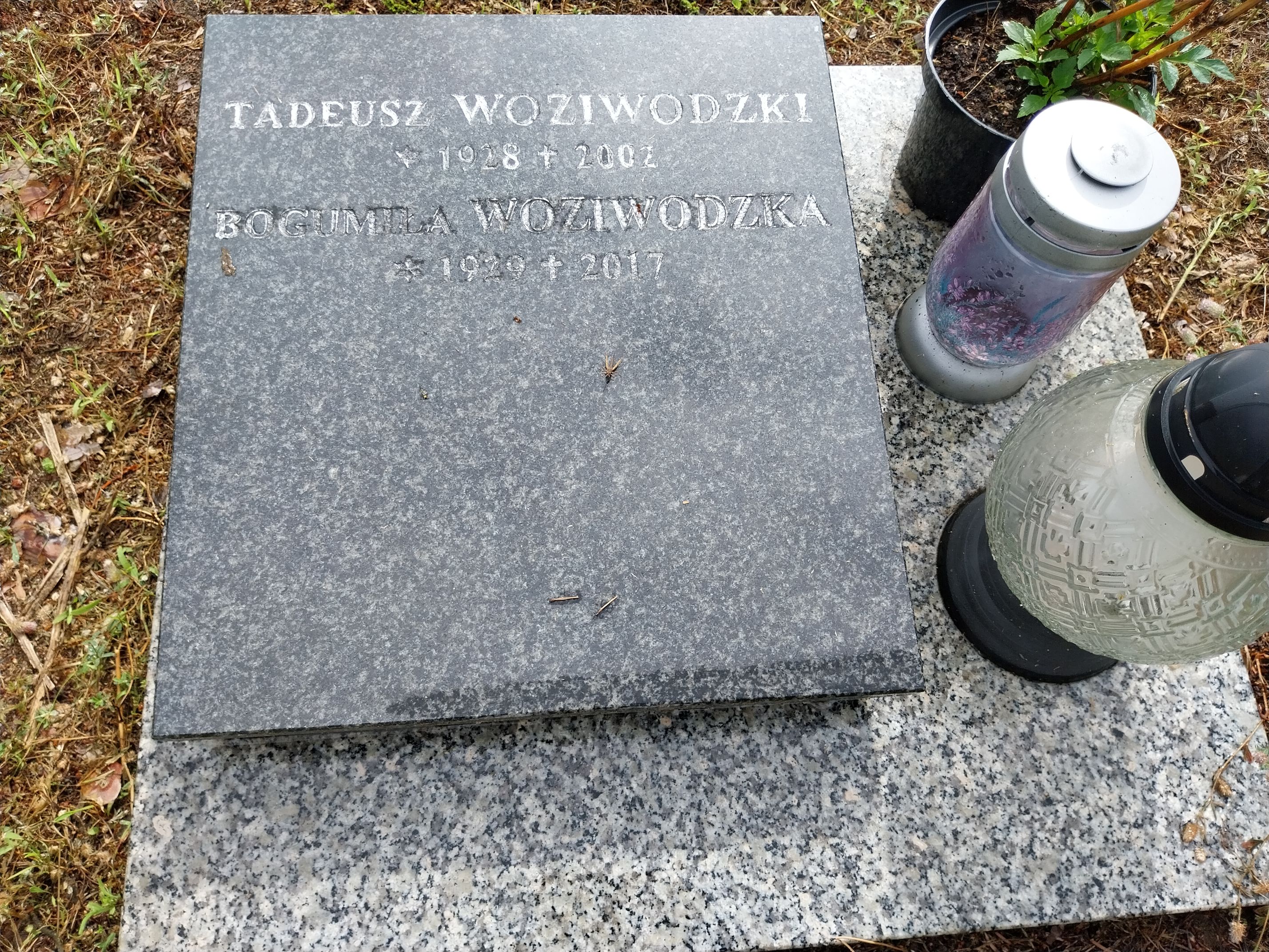 Grób Tadeusz Woziwodzki