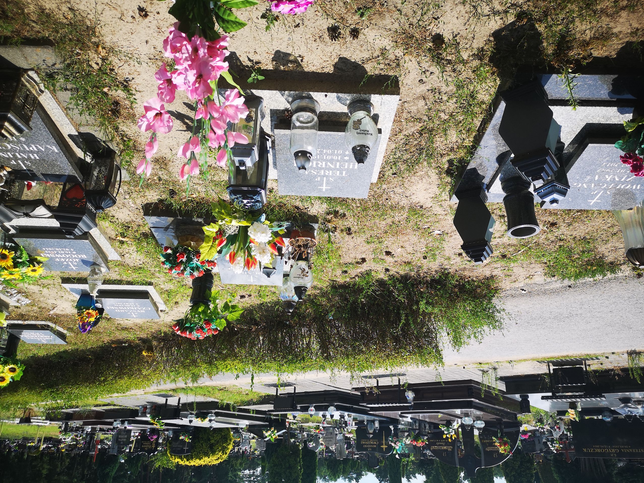 Grób Teresa Heinrich