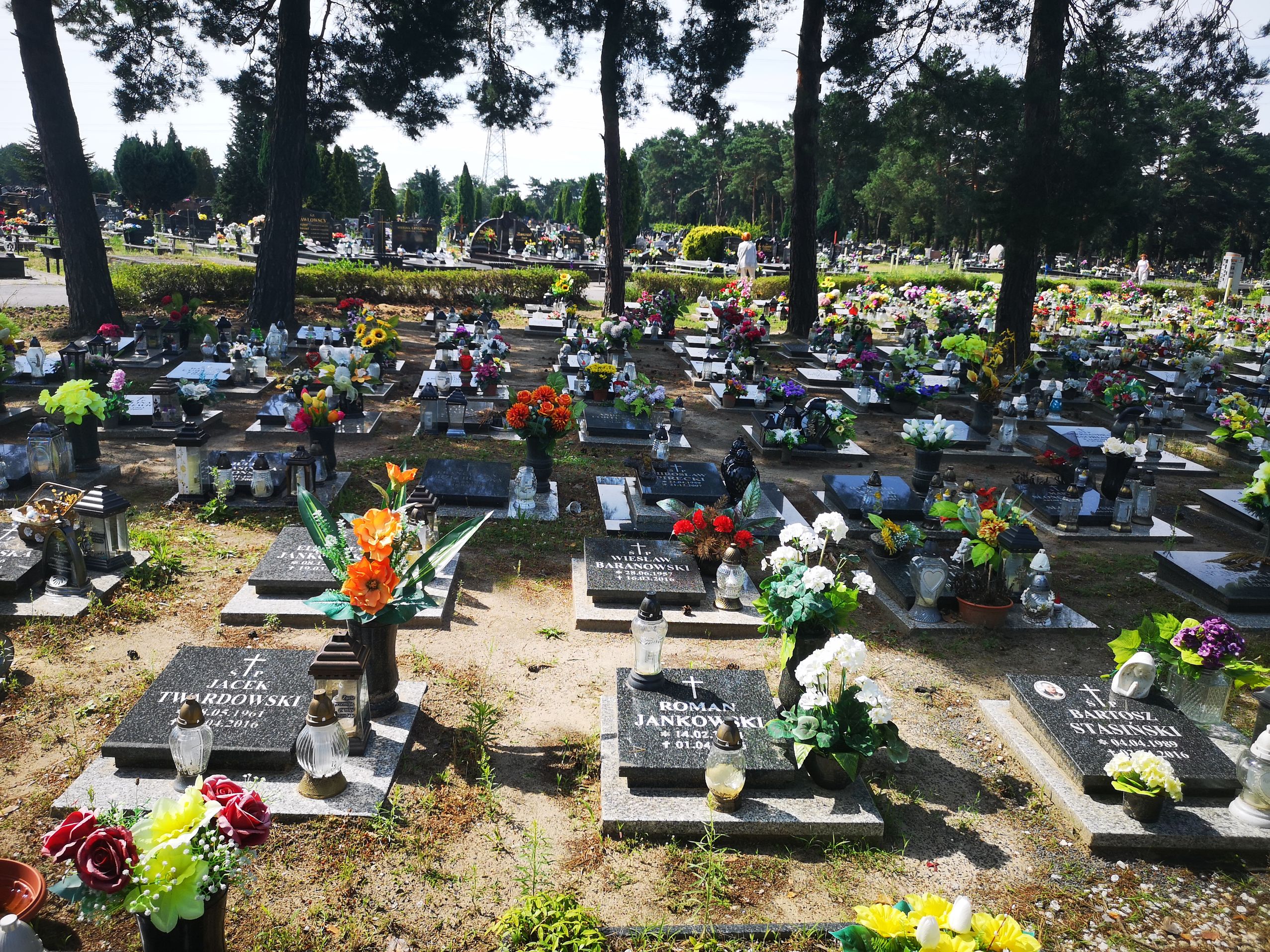 Grób Roman Jankowski