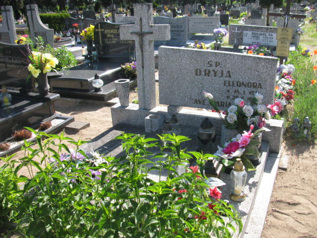 Grób Eleonora Dryja