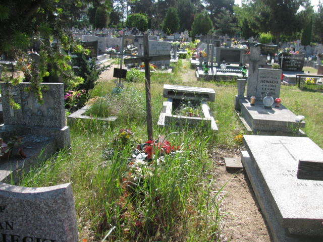 Grób Janina Sukowska