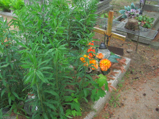 Grób Zbigniew Jankowski