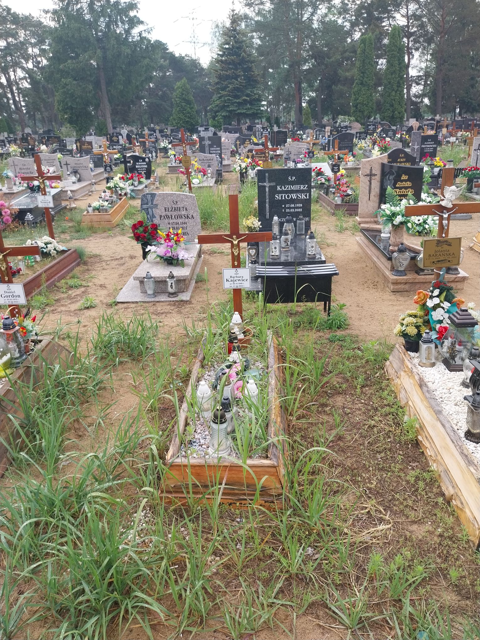 Grób Barbara Kajewicz