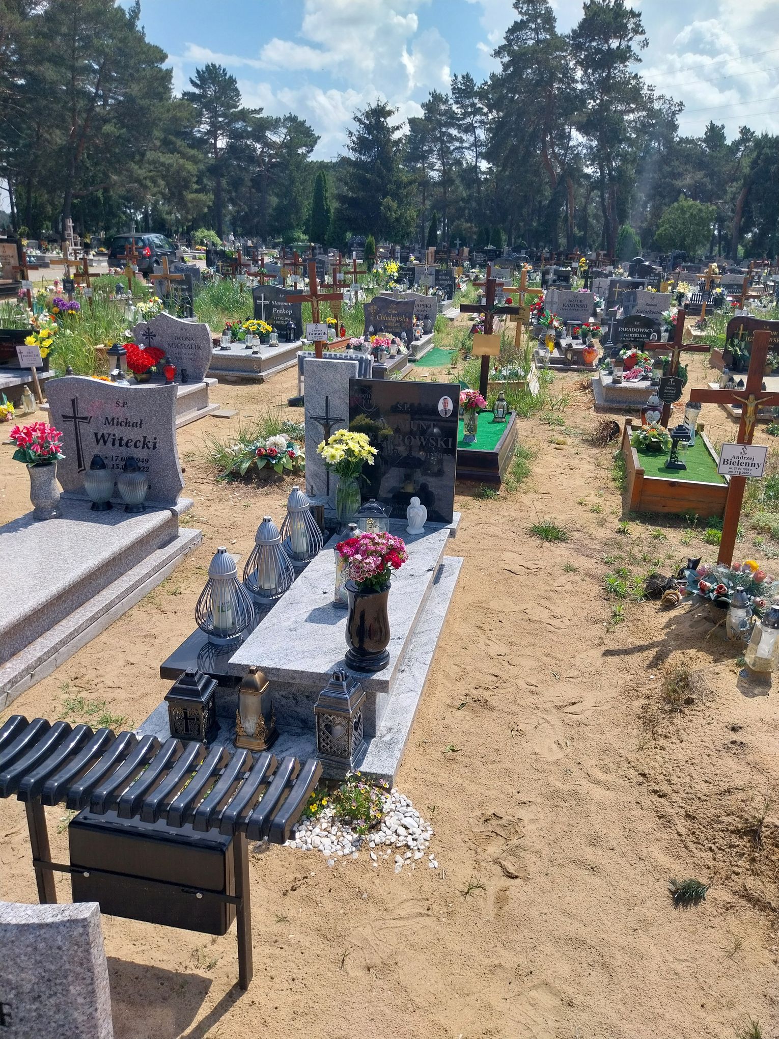 Grób Zygmunt Weltrowski