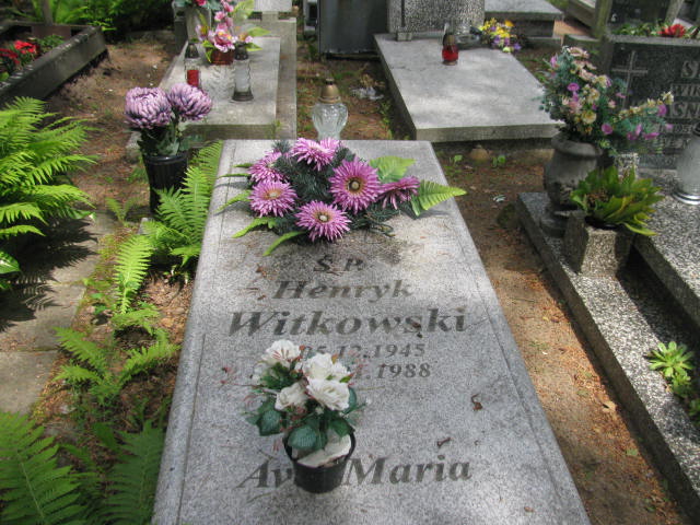 Grób Henryk Witkowski
