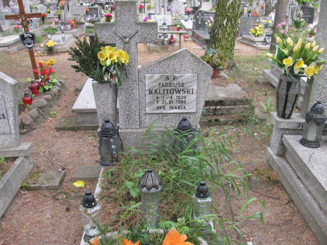 Grób Tadeusz Kalitowski