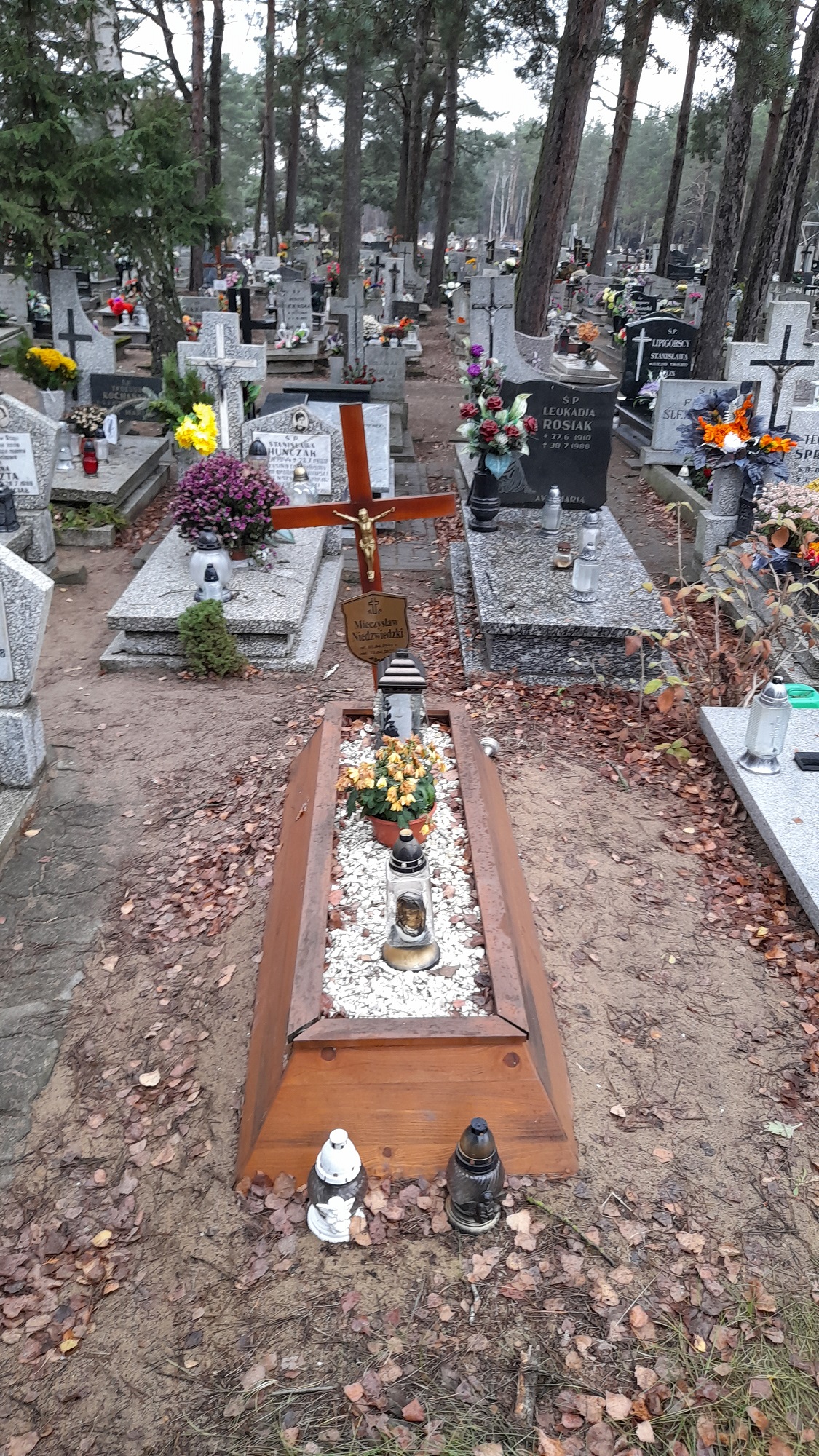 Grób Mieczysław Niedzwiedzki