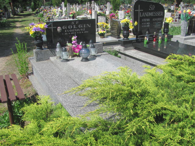 Grób Teresa Golgin