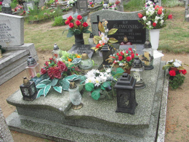 Grób Karol Śliwonik