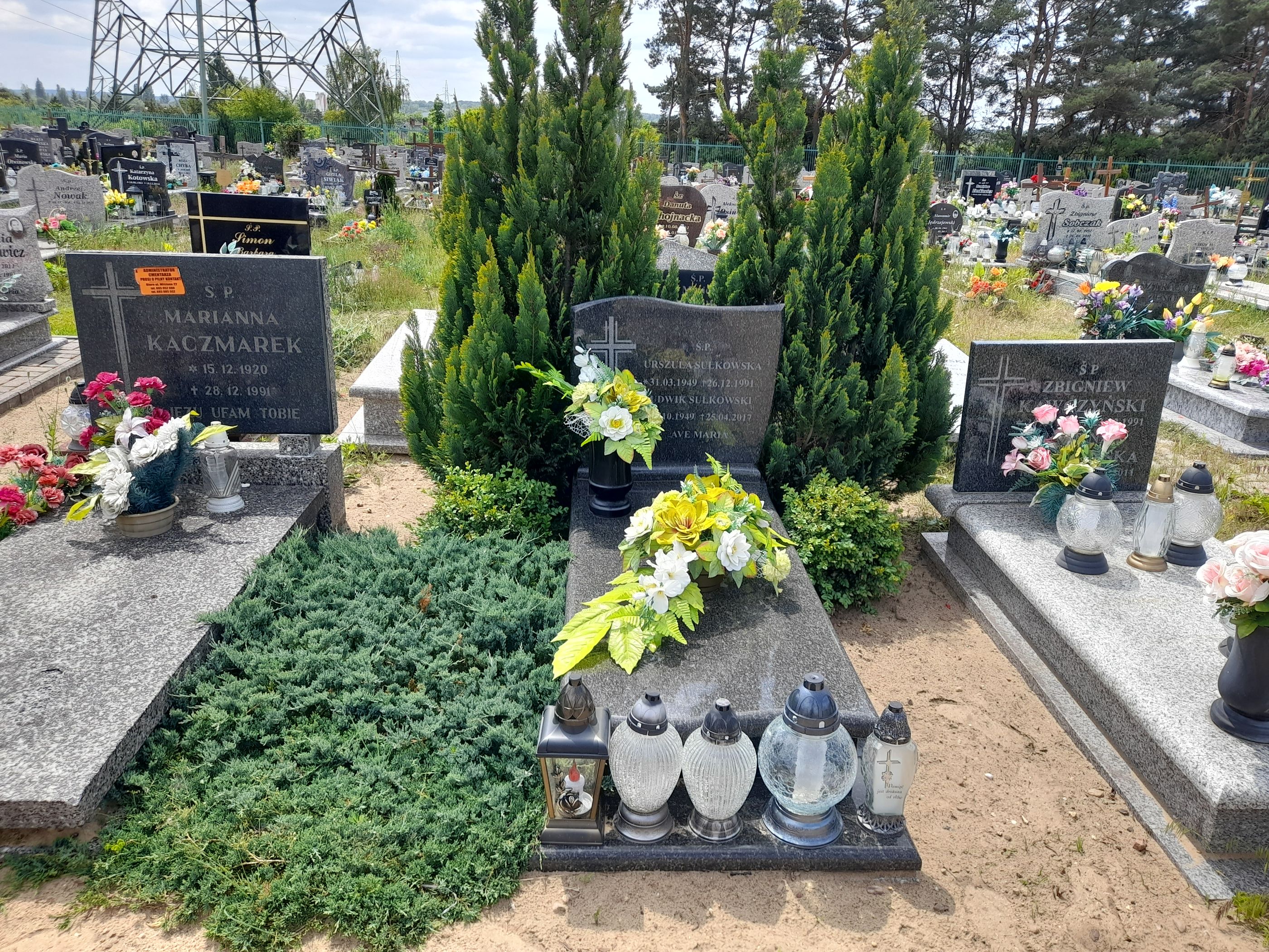 Grób Urszula Sułkowska