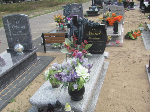 Grób Wanda Nizioł