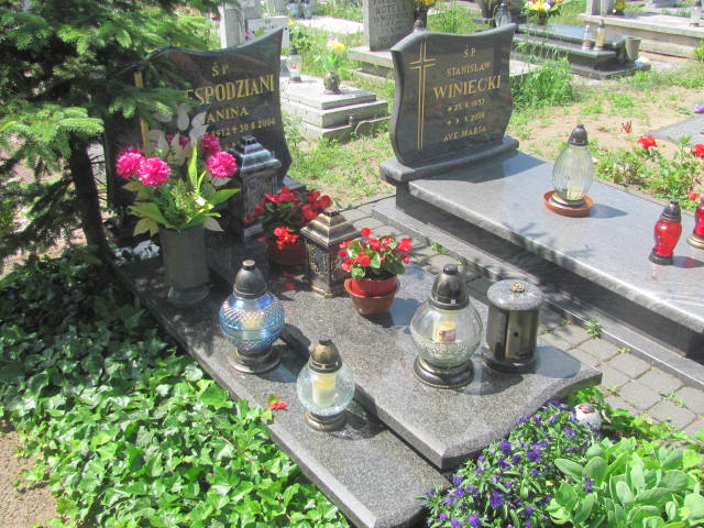 Grób Jan Niespodziany