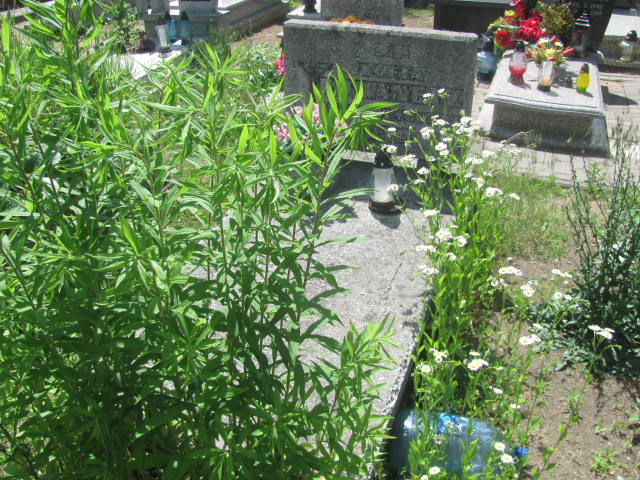 Grób Zofia Kowanetz