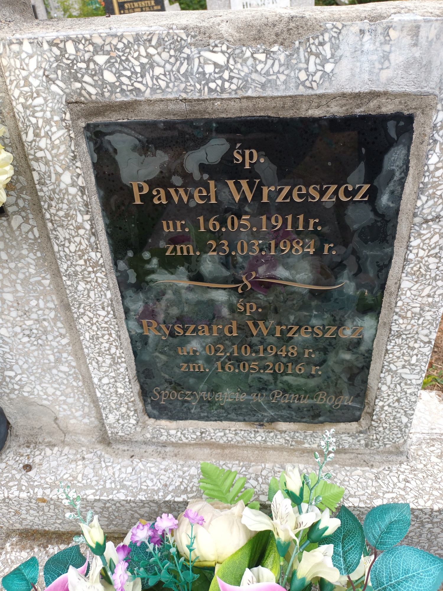 Grób Paulina Kujawska