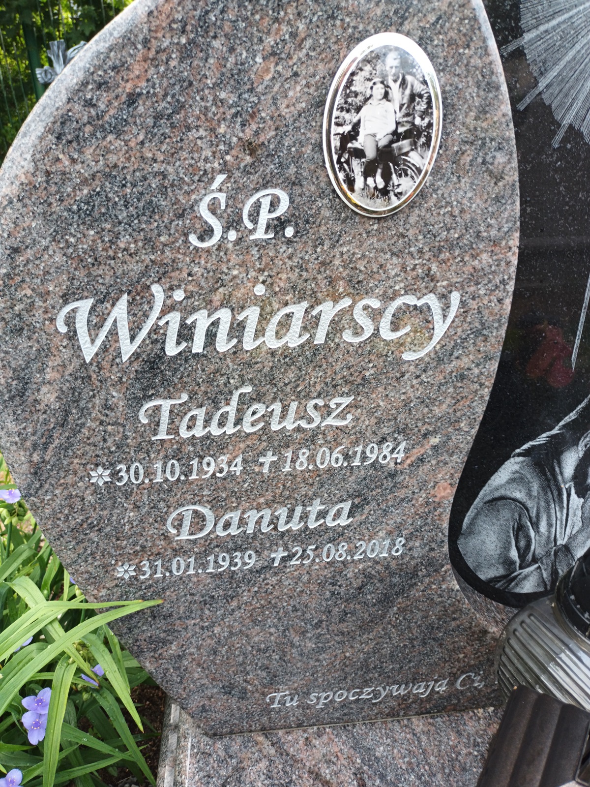 Grób DANUTA WINIARSKA