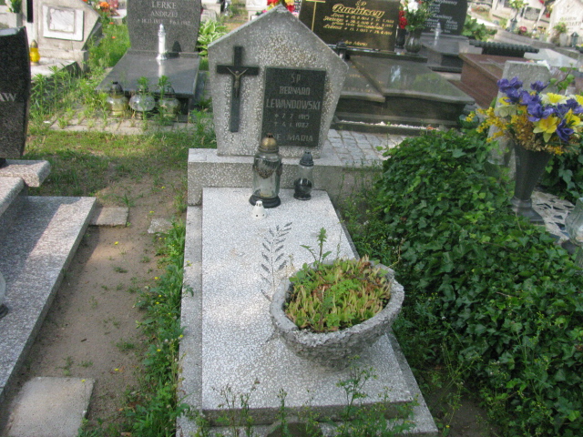 Grób Józef Lewandowska 