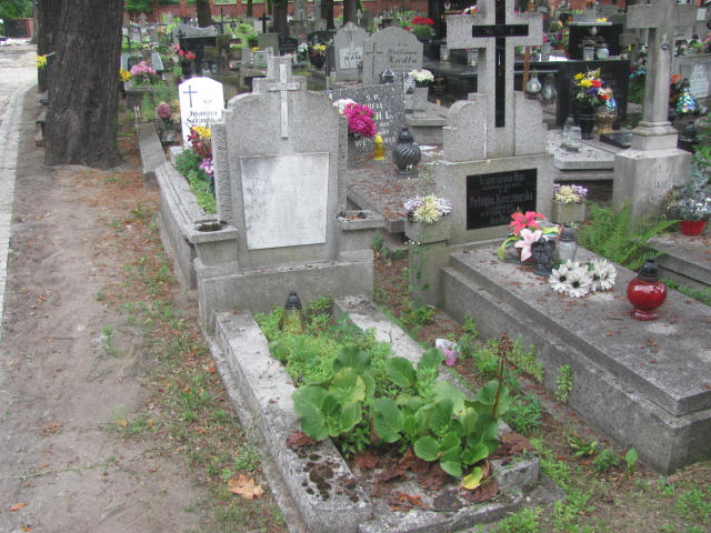 Grób Franciszka Peplińska