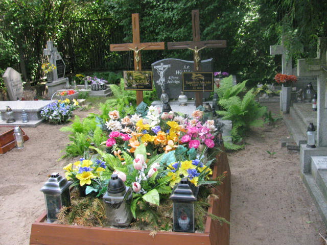 Grób Eugeniusz Maciuła